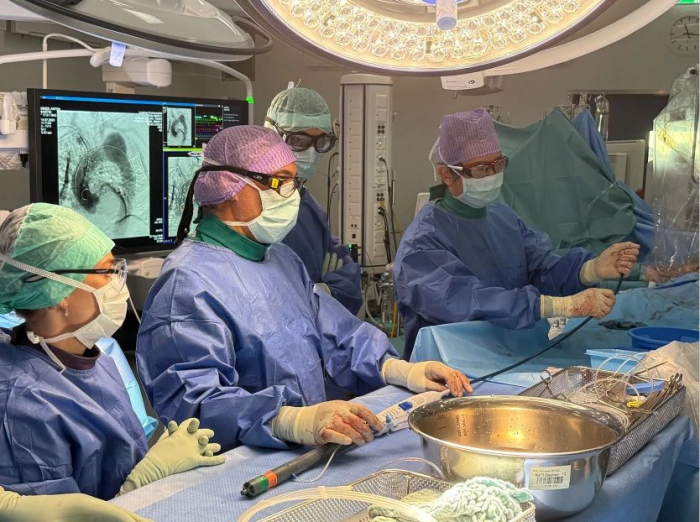 图片 3.png 图片 3.png