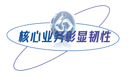 核心业务彰显韧性(1).png 核心业务彰显韧性(1).png