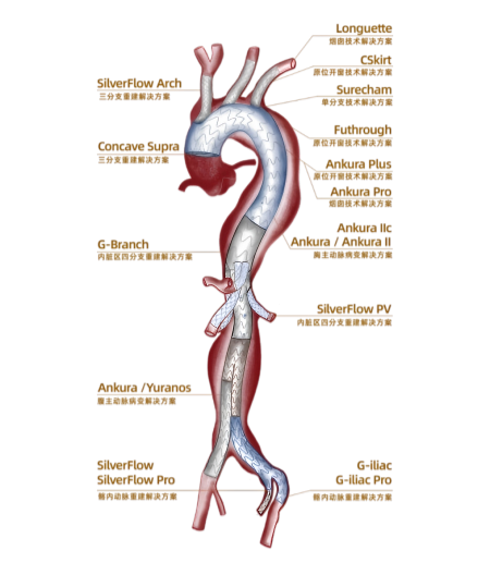 图片 2(1).png 图片 2(1).png